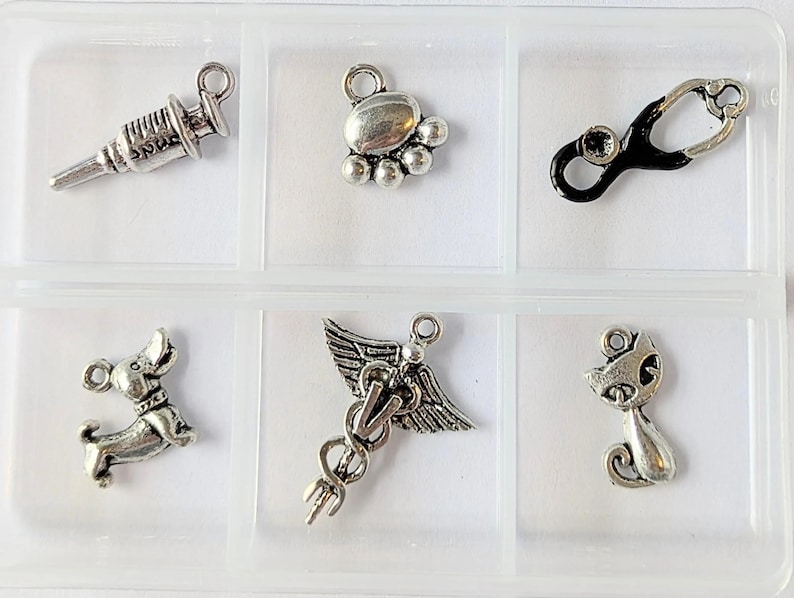 Veterinary Mini Charm Box - 6 pc., Silver - - LadybugfeetDesigns -