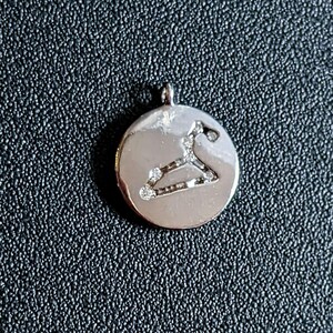 Zodiac Constellation Necklace, Silver - 12-24 inch - - LadybugfeetDesigns -