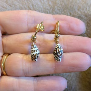 Genuine Conch Shell II Hoop Earrings, Gold - 16mm - - LadybugfeetDesigns -