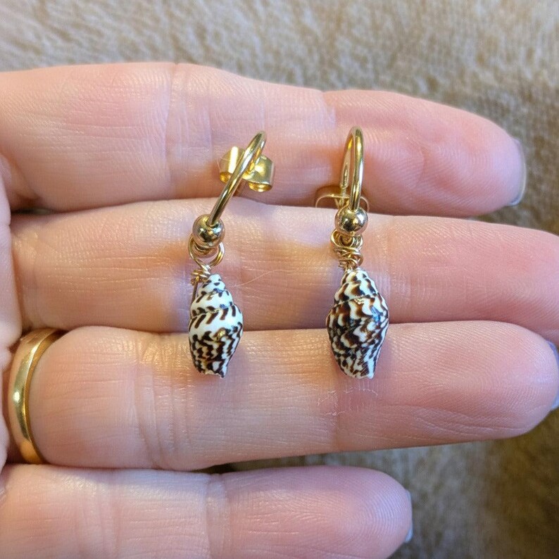 Genuine Conch Shell II Hoop Earrings, Gold - 16mm - - LadybugfeetDesigns -