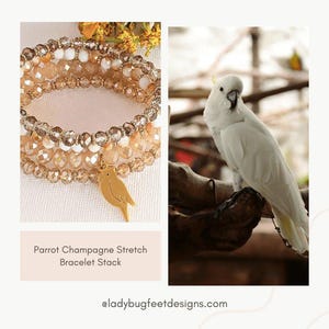 Parrot Champagne Stretch Bracelet Stack - - LadybugfeetDesigns -