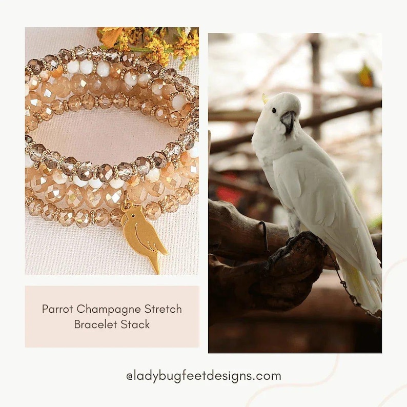 Parrot Champagne Stretch Bracelet Stack - - LadybugfeetDesigns -