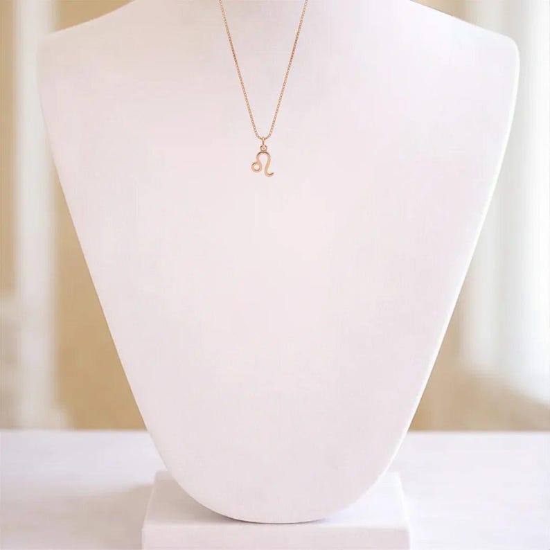 Zodiac Symbol Necklace, Rose Gold - 17 inches - - LadybugfeetDesigns -