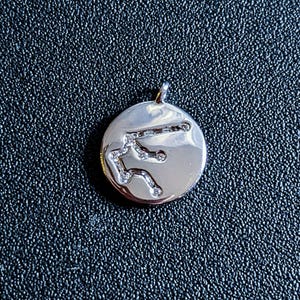 Zodiac Constellation Necklace, Silver - 12-24 inch - - LadybugfeetDesigns -