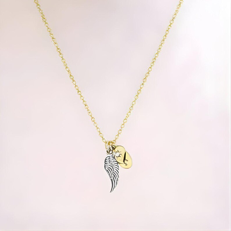 Forever in my Heart Memory necklace, Gold - 20 inch - - LadybugfeetDesigns -
