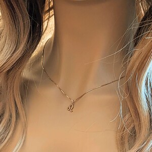 Zodiac Symbol Necklace, Rose Gold - 17 inches - - LadybugfeetDesigns -