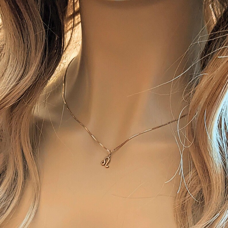 Zodiac Symbol Necklace, Rose Gold - 17 inches - - LadybugfeetDesigns -