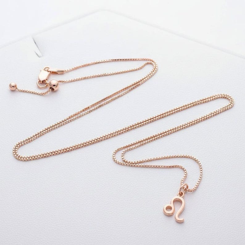 Zodiac Symbol Necklace, Rose Gold - 17 inches - - LadybugfeetDesigns -