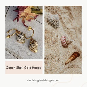 Gold Rimmed Natural Conch Seashell hoop earrings, Gold - 16mm - - LadybugfeetDesigns -