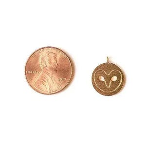 14K Brushed Gold Owl Face Charm - - LadybugfeetDesigns -