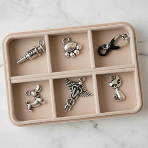 Veterinary Mini Charm Box - 6 pc., Silver - - LadybugfeetDesigns -