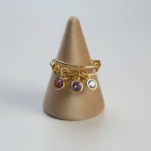 Mother's Birthstone Charm Ring, Adjustable, 14k Gold-Filled - - LadybugfeetDesigns -