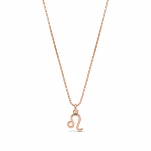 Zodiac Symbol Necklace, Rose Gold - 17 inches - - LadybugfeetDesigns -