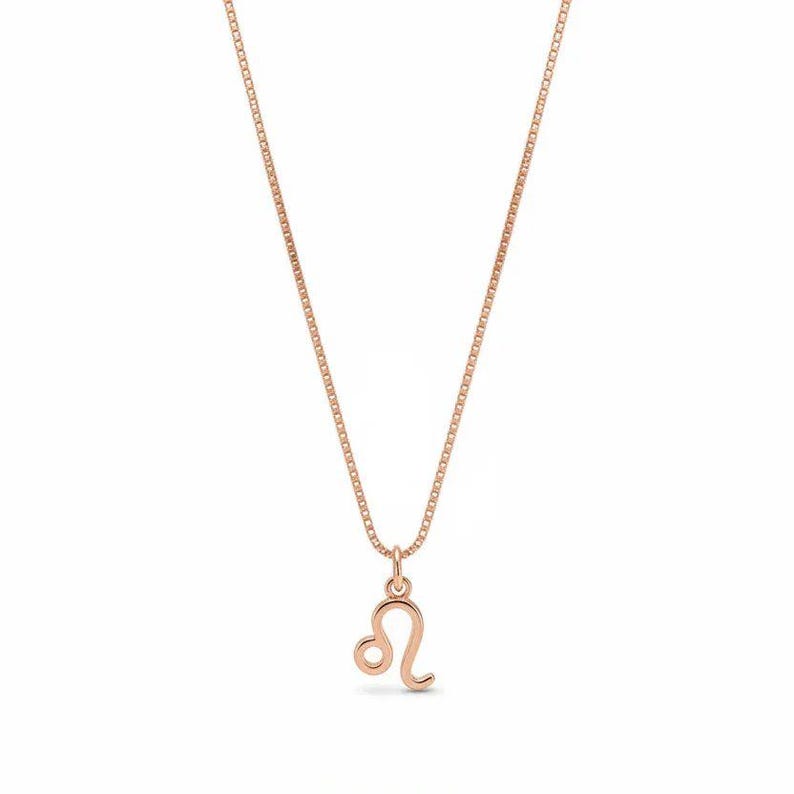 Zodiac Symbol Necklace, Rose Gold - 17 inches - - LadybugfeetDesigns -