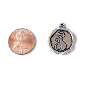 Framed Cat Portrait Charm - - LadybugfeetDesigns -