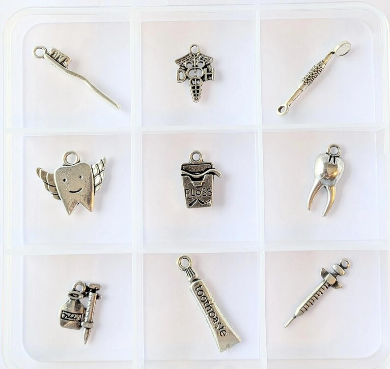 Dental Hygienist Charm Box - 9 pc., Silver - - LadybugfeetDesigns -