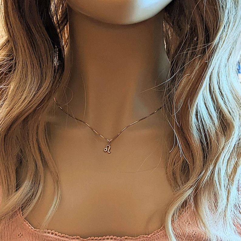 Zodiac Symbol Necklace, Rose Gold - 17 inches - - LadybugfeetDesigns -