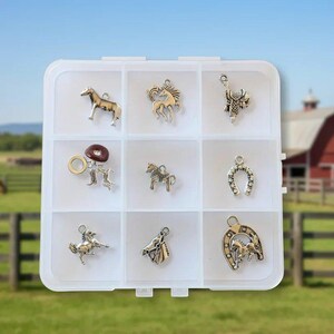 Horse Lover Charm Box - 9 pc., Silver - - LadybugfeetDesigns -