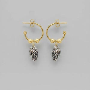 Genuine Conch Shell II Hoop Earrings, Gold - 16mm - - LadybugfeetDesigns -