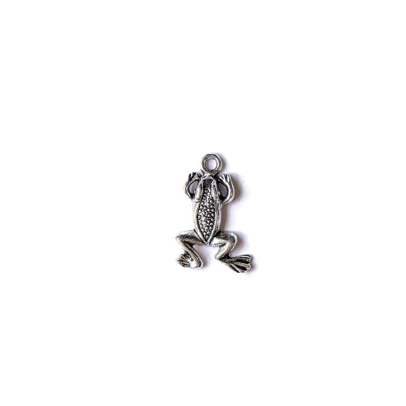 Silver Frog Charm - - LadybugfeetDesigns -