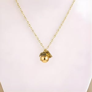 Prayer/Wish Locket Necklace, Gold - 18 inch - - LadybugfeetDesigns -