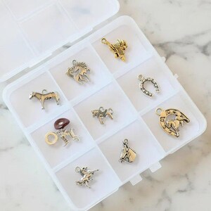 Horse Lover Charm Box - 9 pc., Silver - - LadybugfeetDesigns -