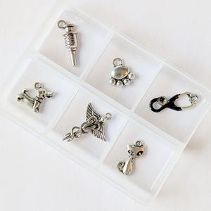 Veterinary Mini Charm Box - 6 pc., Silver - - LadybugfeetDesigns -