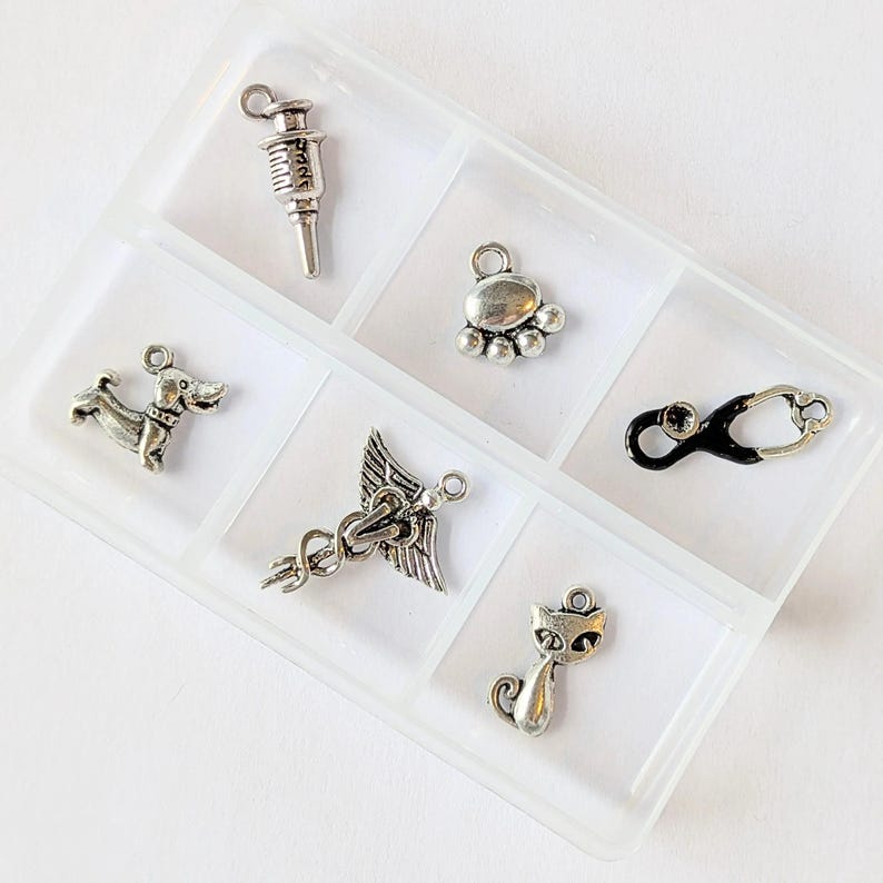 Veterinary Mini Charm Box - 6 pc., Silver - - LadybugfeetDesigns -
