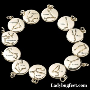 Zodiac Constellation Necklace, Silver - 12-24 inch - - LadybugfeetDesigns -