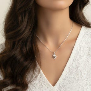 Zodiac Symbol Necklace, Sterling Silver - 12 - 24 inches - - LadybugfeetDesigns -