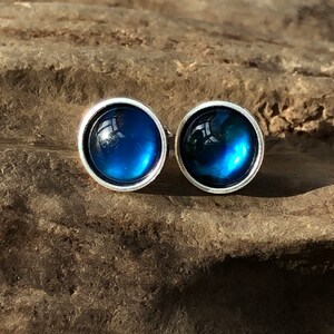 8mm blue abalone and natural abalone solid sterling silver stud earrings