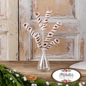 May include: A clear glass vase holds five spiral-shaped decorative sticks. Each stick features a brown and white striped pattern that winds around a central stem. The sticks are arranged in a fan shape, standing upright within the narrow neck of the vase.
