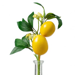 13in Lemon Leaf Spray