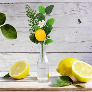 10in Mixed Greenery Lemon Pick