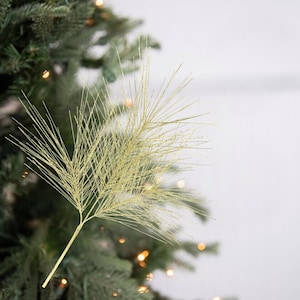 24 in Glitter Pine Plektrum: Champagner