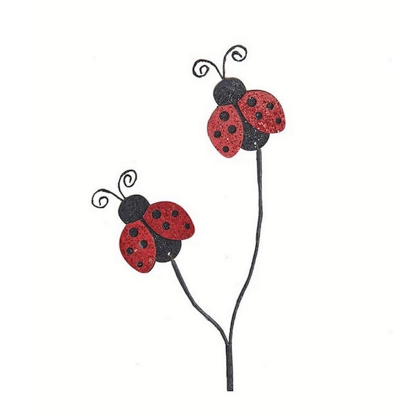 20in Double Sided Ladybug Pick