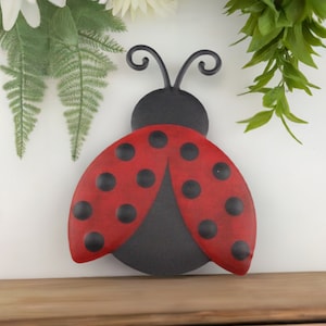 12in Metal Embossed Ladybug Hanger: Solid