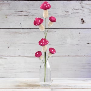 Mushroom Hot Pink Polkadot Spray X 6 22
