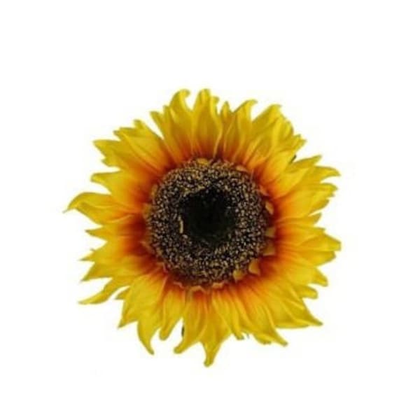 5in Sunflower Head