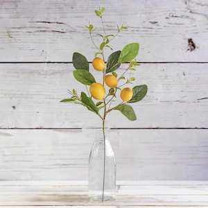 28in Lemon and Foliage Stem