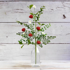 28 in Spray di fragole e felci