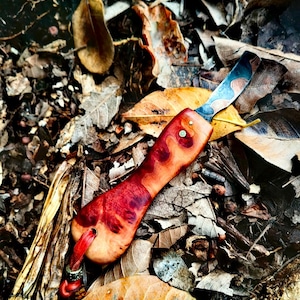 Peut inclure: Un couteau artisanal avec un manche rouge et beige et une lame à motifs. Le couteau est posé parmi des feuilles mortes aux tons bruns et beiges, créant une scène naturelle. Le manche a un trou à l'extrémité avec un cordon rouge.