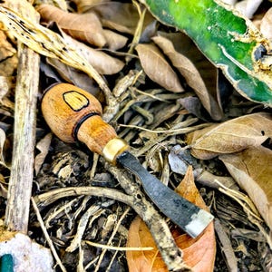 May include: A wood carving chisel with a wooden handle and a metal blade. The handle is light brown with a dark brown ring and a gold-colored metal band. The blade is silver and has a flat, beveled edge. The chisel rests on a bed of dried leaves and twigs.