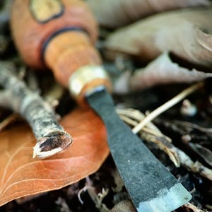 May include: A woodworking chisel with a wooden handle and metal blade, lying amongst dried leaves and twigs. The chisel's blade is angled, revealing its sharp edge. The natural setting provides an earthy backdrop.