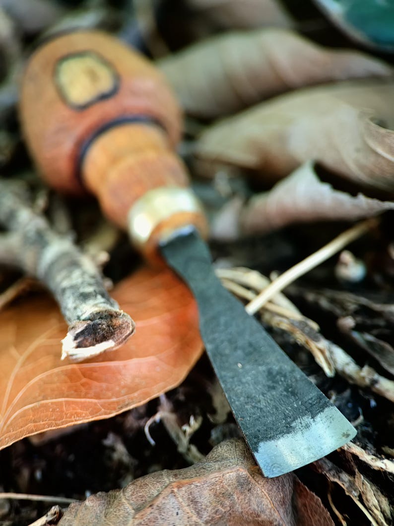 May include: A woodworking chisel with a wooden handle and metal blade, lying amongst dried leaves and twigs. The chisel's blade is angled, revealing its sharp edge. The natural setting provides an earthy backdrop.