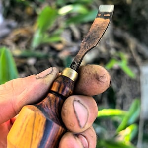 May include: A woodworking chisel with a wooden handle featuring a mix of light and dark brown tones. The metal blade has a silver edge and a bronze-colored body. The chisel is held in a hand against a blurred green background.