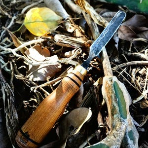 May include: A woodworking chisel with a wooden handle and a metal blade. The handle is a light brown color with dark bands. The blade has a textured pattern. The chisel is resting among dried leaves and twigs.