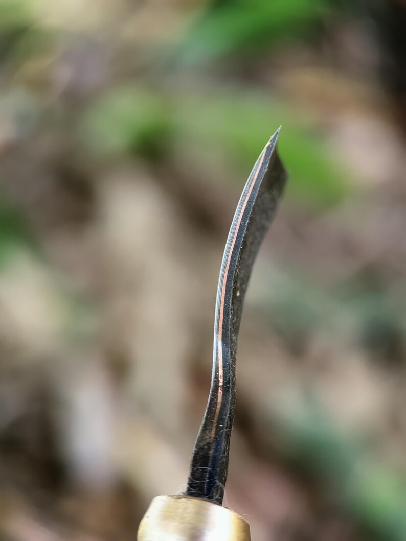 May include: Close-up of a curved, dark-coloured blade with a copper-coloured stripe. The blade has a sharp point and a brass-coloured handle. The background is blurred, suggesting an outdoor setting. The tool appears to be a specialized knife.