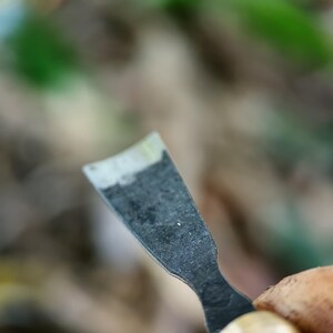 May include: A close-up shot of a small, dark metal chisel with a curved blade. The chisel is held in a hand, with a blurred background of green and brown foliage. The blade has a silver edge.