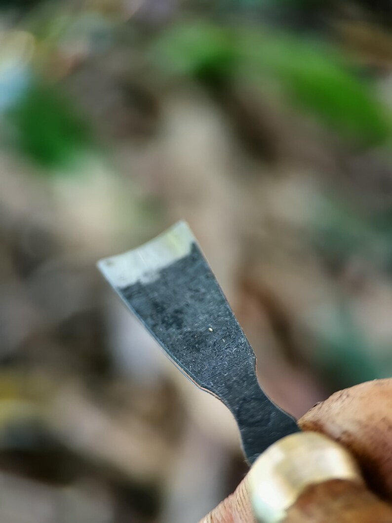 May include: A close-up shot of a small, dark metal chisel with a curved blade. The chisel is held in a hand, with a blurred background of green and brown foliage. The blade has a silver edge.